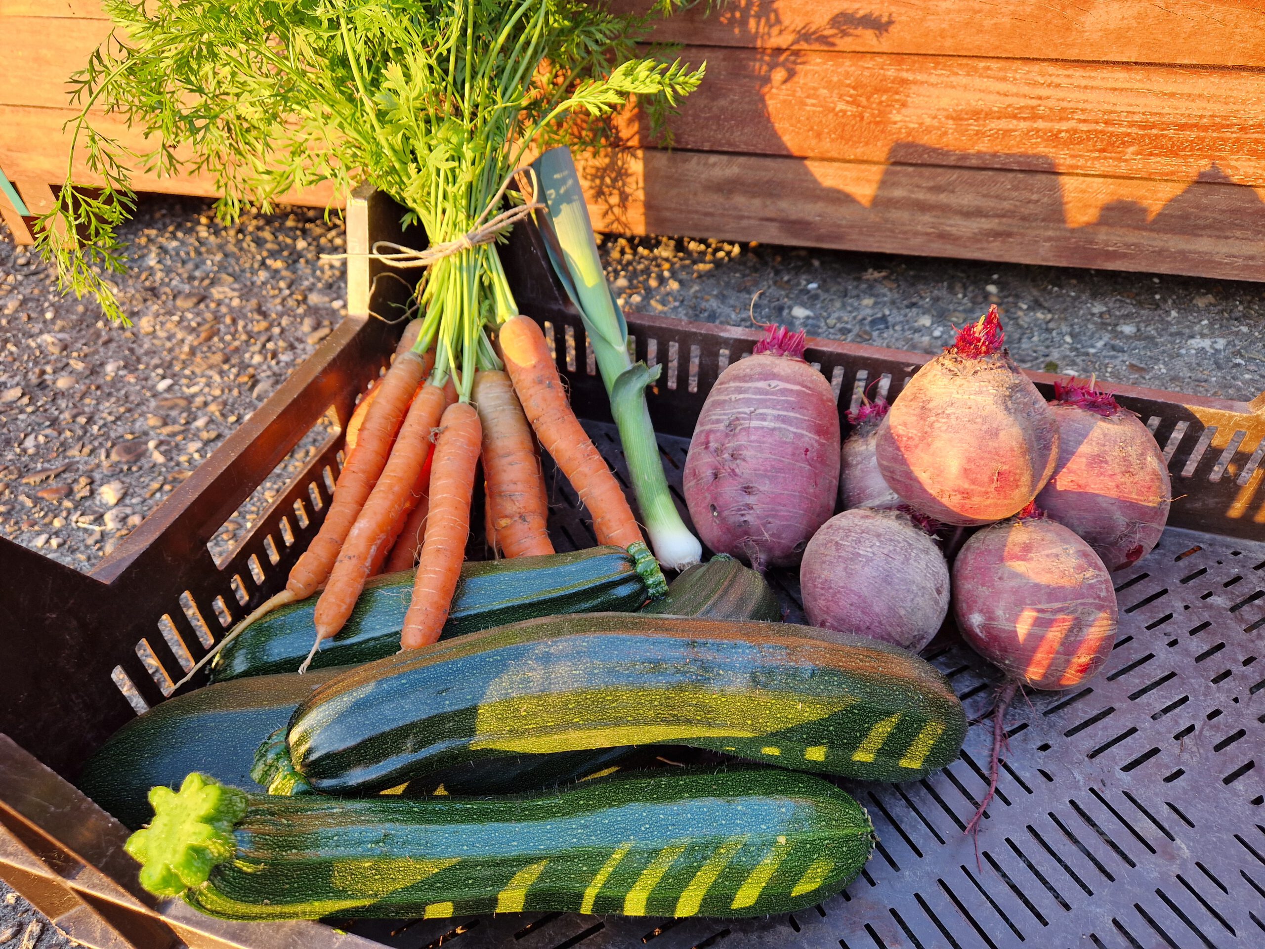 Einde oogst seizoen 2025